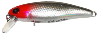 Shine minnow color HA15