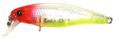 Shine minnow color SJ05