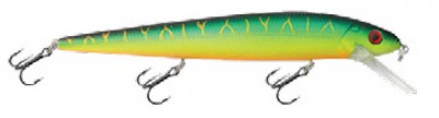 Shoal Minnow color M06