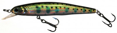 Shollow Minnow color 