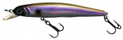 Shollow Minnow color HA14