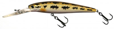 Slash Minnow color S24