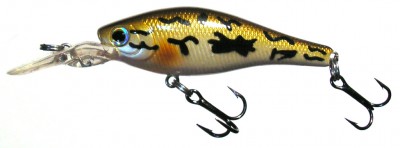 Spit Minnow color S24