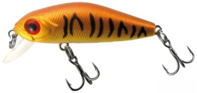 Stingray color 