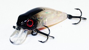 Stingray color 464
