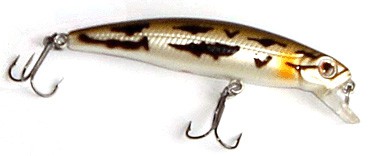 Valor Minnow color 
