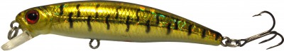 Valor Minnow color HC06