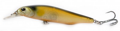 Velocity Minnow color G06