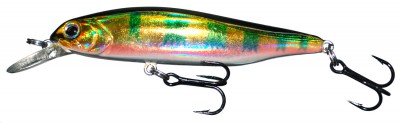 Velocity Minnow color HA07