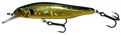 Velocity Minnow color HC05