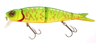 Water Minnow color 