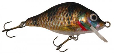 Carp color 124