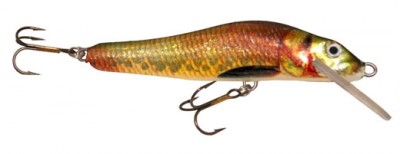 Minnow color 111