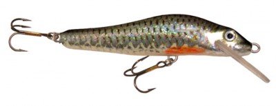 Minnow color 115