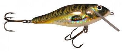 Shad color 113