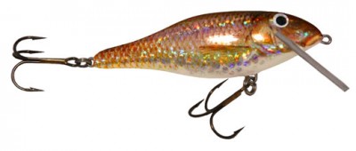 Shad color 116
