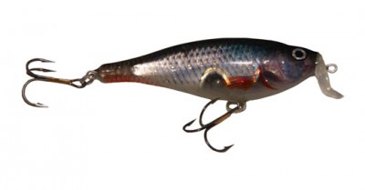 Shad Z color 074