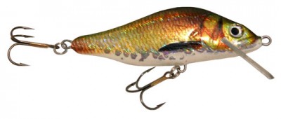 Whitefish color 111