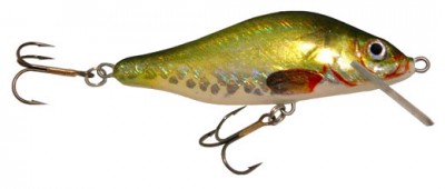 Whitefish color 112