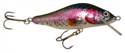 Whitefish color 119