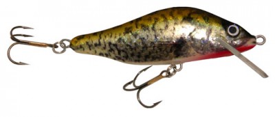 Whitefish color 125