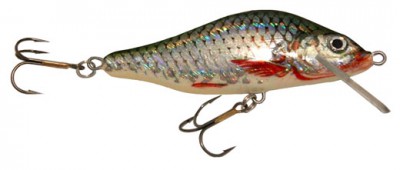 Whitefish color 140