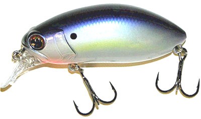 Rattlin Roumba color 