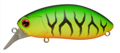 Rattlin Roumba color 002