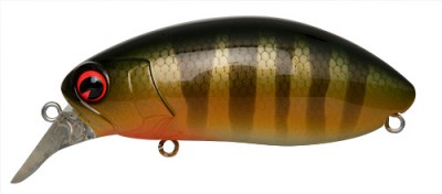 Rattlin Roumba color 005