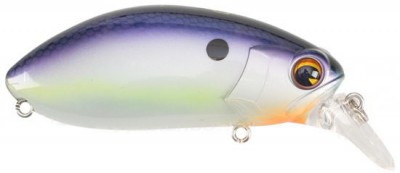 Rattlin Roumba color blue shad