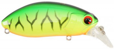 Rattlin Roumba color firetiger