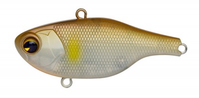 Rock N Vibe color 001