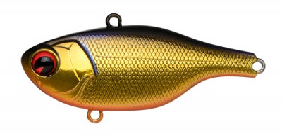 Rock N Vibe color 002