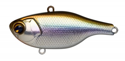 Rock N Vibe color 003