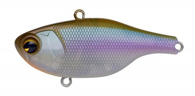 Rock N Vibe color 004