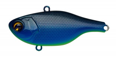 Rock N Vibe color 006