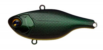 Rock N Vibe color 007