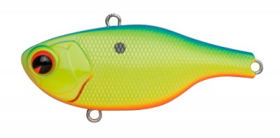 Rock N Vibe color 008