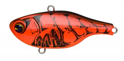 Rock N Vibe color 009