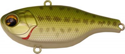 Rock N Vibe color baby bass