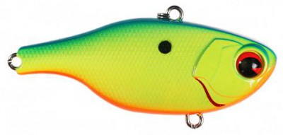 Rock N Vibe color baby blue chartreuse