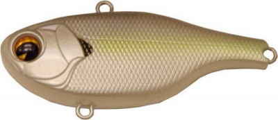 Rock N Vibe color chartreuse shad