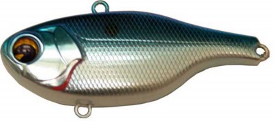 Rock N Vibe color chrome blue back