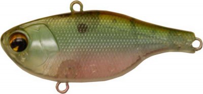 Rock N Vibe color ghost minnow