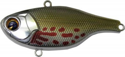 Rock N Vibe color wounded shad