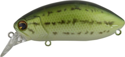 Roumba color baby bass