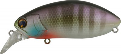 Roumba color bluegill