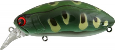 Roumba color bull frog