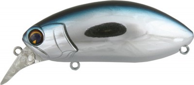 Roumba color gizzard shad