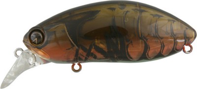 Roumba color real crawfish